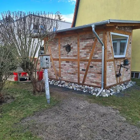 2, Kimpi *